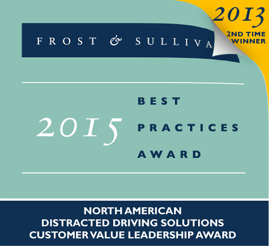 Frost & Sullivan 2013 Award